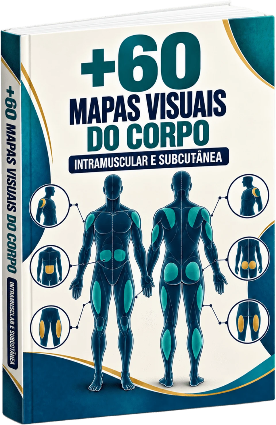 Plano básico — +60 Mapas Visuais do Corpo